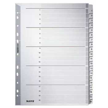 Leitz 43260000 tab indekss Ciparu tab indekss Kartons Pelēks