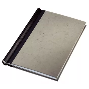 Leitz 39440085 mape Kartons Pelēks A4