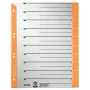 Leitz 16520045 nodalījumu rādītājs Ciparu nodalījumu rādītājs Kartons Pelēks, Oranžs