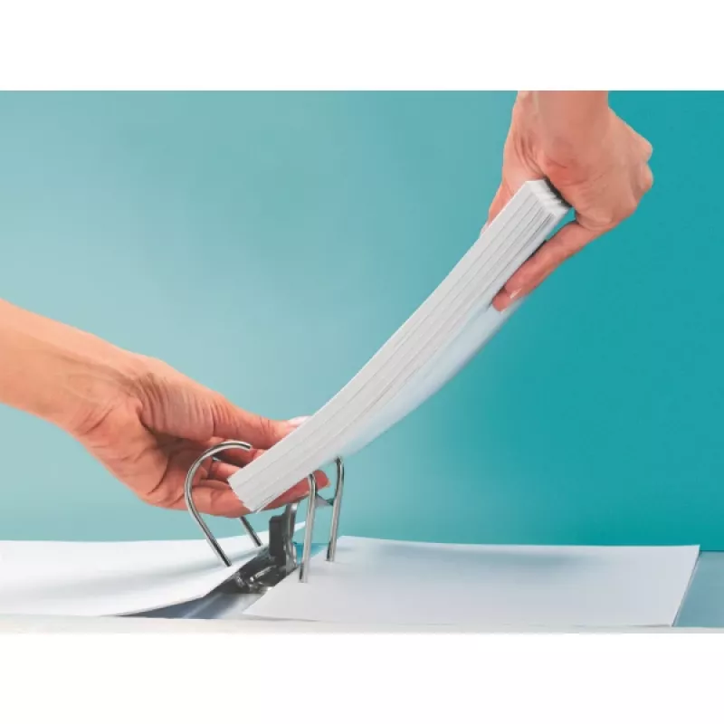 Leitz LEITZ Standard sviras arhīva mape A4 80 mm, ar spraugām, kartons (RC), muguriņas platums 80 mm (1080-50-25)