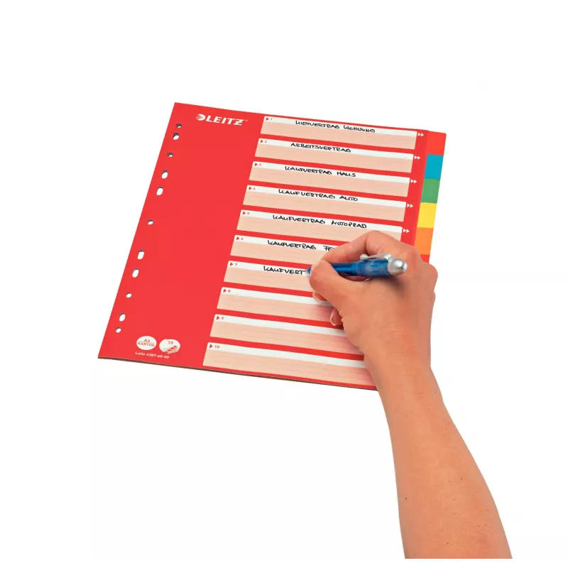 Leitz 43876000 tabulācijas nodalītājs
