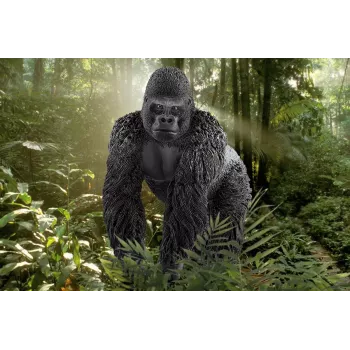 schleich WILD LIFE Gorilla, tēviņš, 3 gadi, Džungļi, Savvaļas dzīvnieki / piedzīvojumu rotaļlietas, Daudzkrāsu, Plastmasa