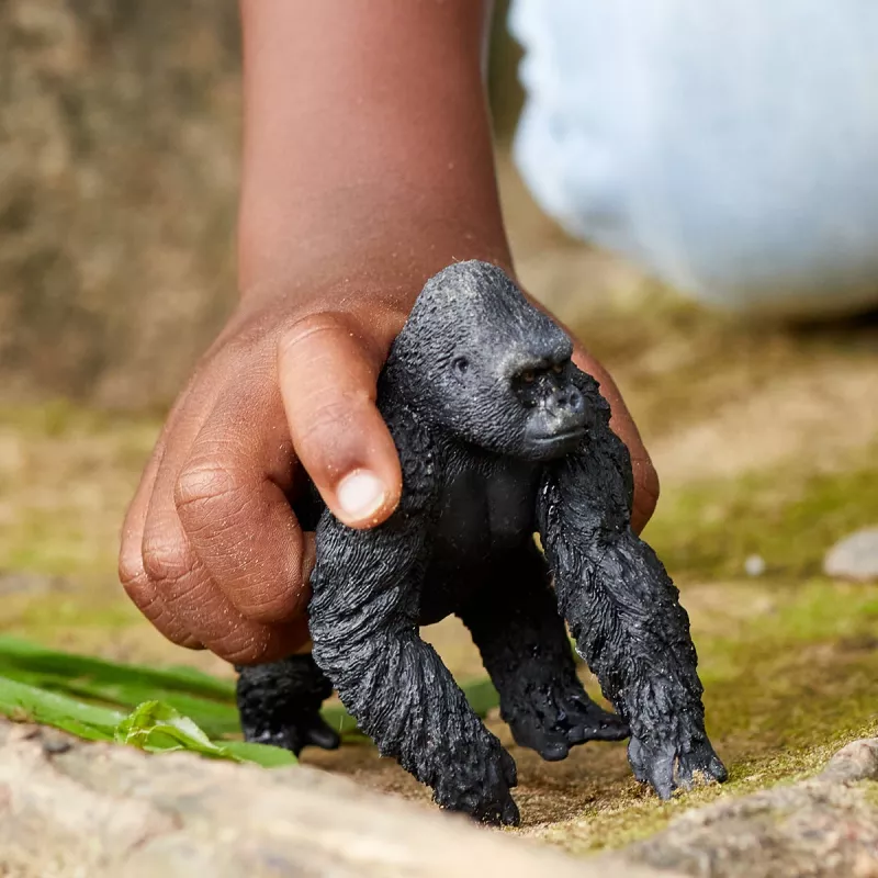 schleich WILD LIFE Gorilla, tēviņš, 3 gadi, Džungļi, Savvaļas dzīvnieki / piedzīvojumu rotaļlietas, Daudzkrāsu, Plastmasa