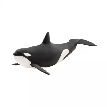 schleich WILD LIFE Zobenvalis, 3 gadi, Ledus un okeāns, Savvaļas dzīvnieki / piedzīvojumu rotaļlietas, Daudzkrāsu, Plastmasa, 1 gab.