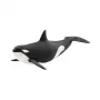 schleich WILD LIFE Zobenvalis, 3 gadi, Ledus un okeāns, Savvaļas dzīvnieki / piedzīvojumu rotaļlietas, Daudzkrāsu, Plastmasa, 1 gab.