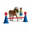 schleich Poniju veiklības treniņš, Veiklība, Lauku dzīvnieki / sētas rotaļlietas, 3 g., Daudzkrāsains, Plastmasa
