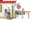 schleich Veterinārārsta prakse ar mājdzīvniekiem, Lauku sēta, Lauku dzīvnieki / lauku rotaļlietas, 3 gadi, Daudzkrāsains