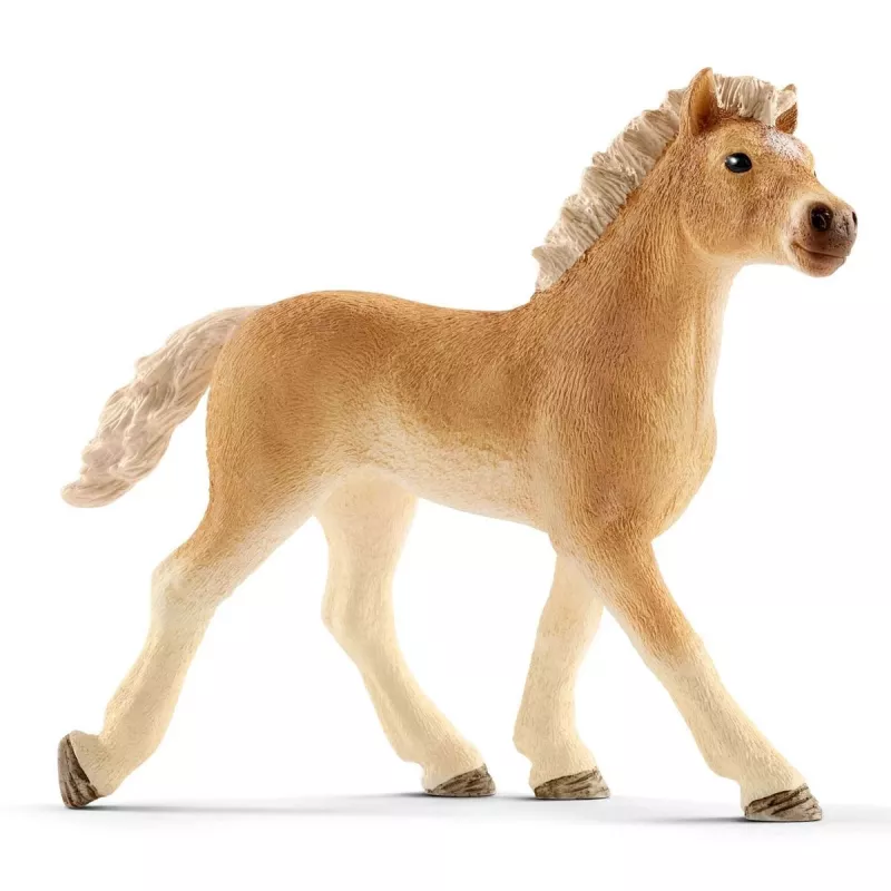 schleich Veterinārārsta prakse ar mājdzīvniekiem, Lauku sēta, Lauku dzīvnieki / lauku rotaļlietas, 3 gadi, Daudzkrāsains