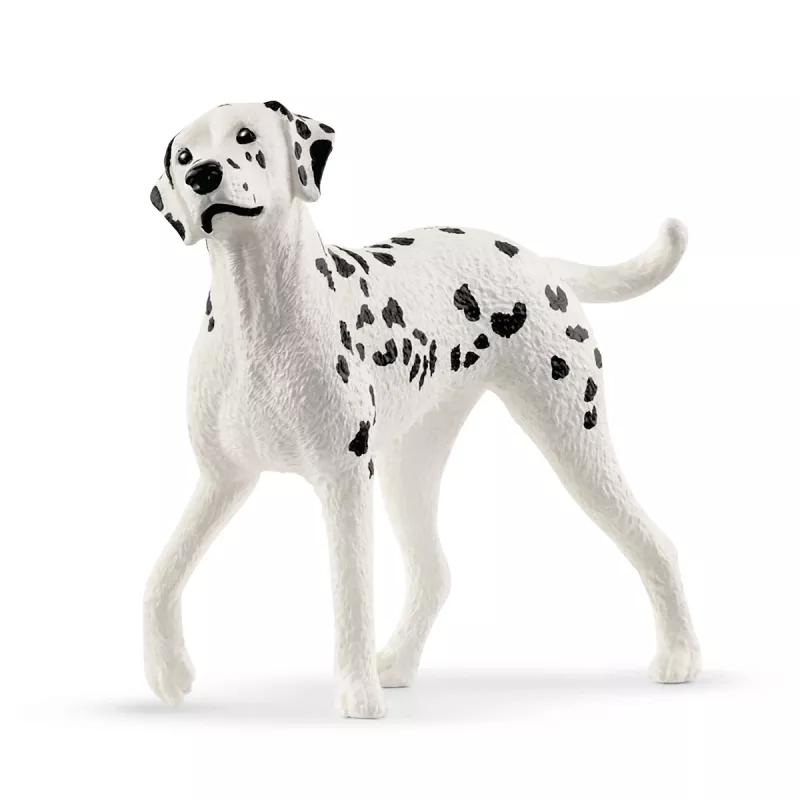 schleich Riding Arena Peppertree, Piedzīvojumu/Action, Jāšanas turnīrs, Zirgi, 5 gadi, Daudzkrāsains, Plastmasa