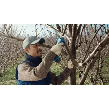 Bosch Pro Pruner Professional bezvada zāles šķēres 2,5 cm 12 V litija jonu (Li-Ion) Melna, Zila
