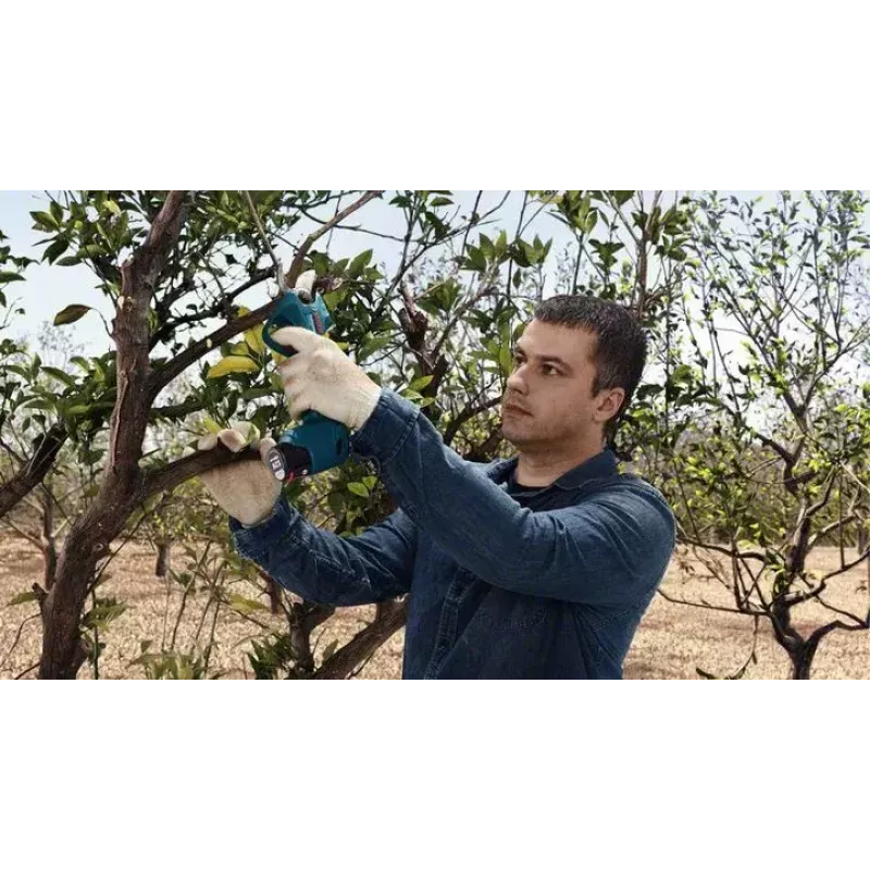 Bosch Pro Pruner Professional bezvada zāles šķēres 2,5 cm 12 V litija jonu (Li-Ion) Melna, Zila
