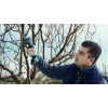Bosch Pro Pruner Professional bezvada zāles šķēres 2,5 cm 12 V litija jonu (Li-Ion) Melna, Zila