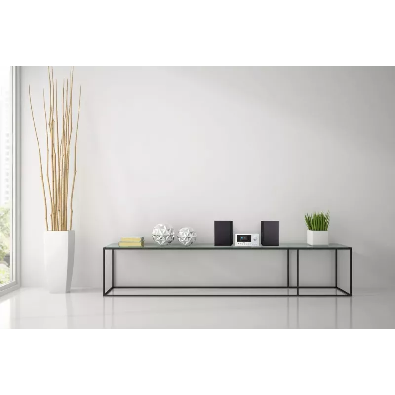 MEDION LIFE P85003 mājas audio mikrosistēma 30 W Melns, Sudraba
