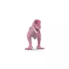 schleich Dinozauri Dzīvnieku apdruka T-Rex, 3 gadi, Dinozauri un vulkāns, Pētniecības stacija, Īpašs, Daudzkrāsains, 1 gab.