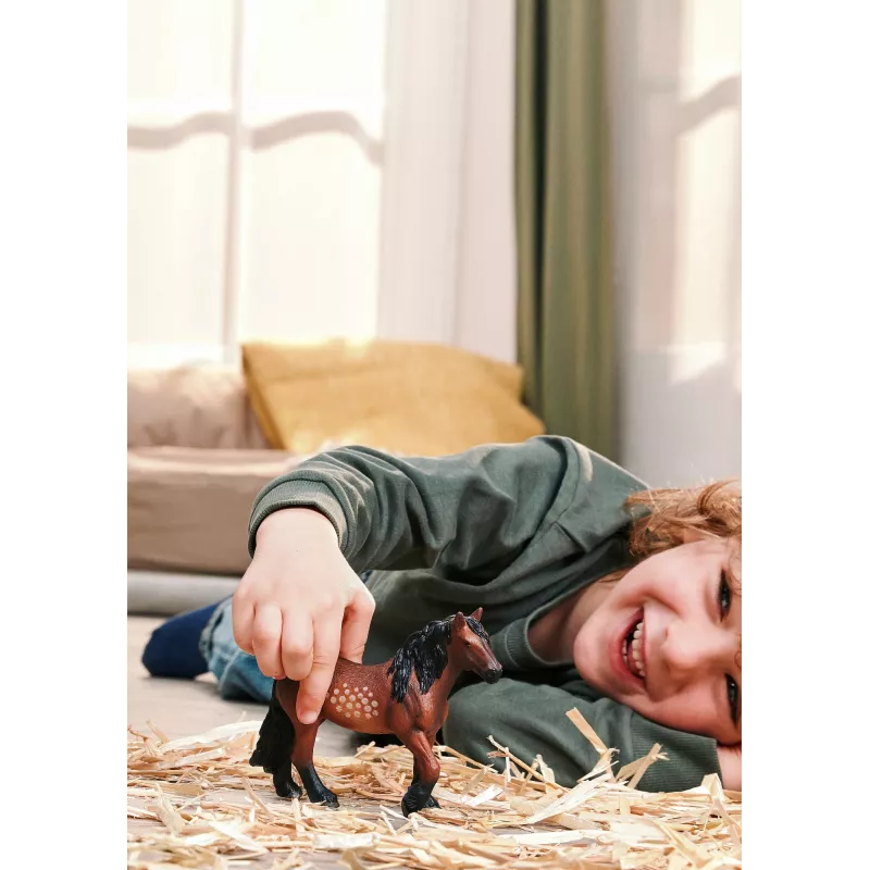 schleich FARM WORLD 14927 bērnu rotaļu figūriņa