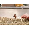 schleich FARM WORLD 14929 bērnu rotaļu figūra