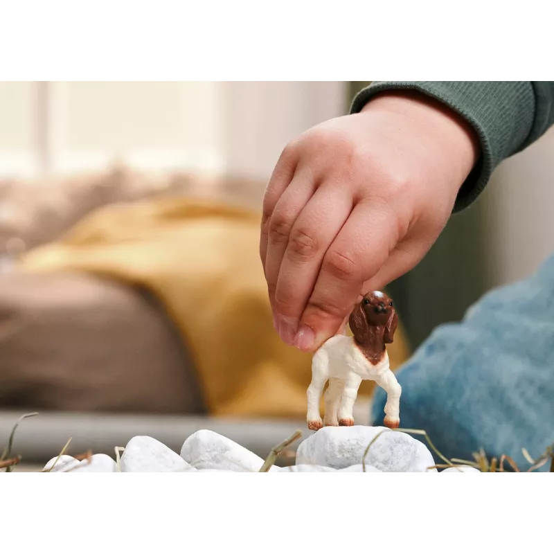 schleich FARM WORLD 14930 bērnu rotaļu figūriņa