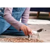 schleich BAYALA 14916 bērnu rotaļu figūra