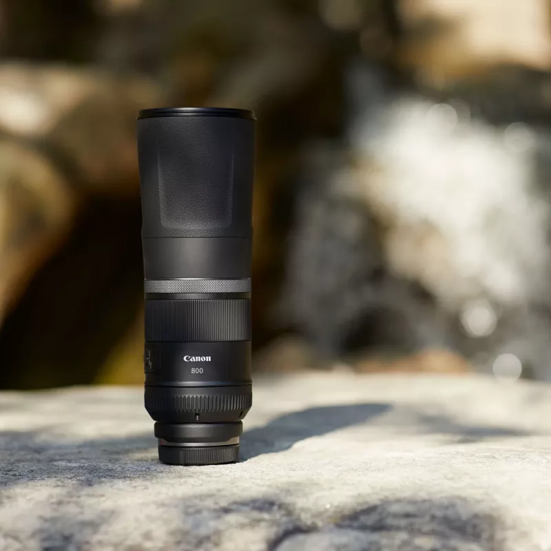 Canon RF 800mm F11 IS STM objektīvs, Telefoto objektīvs, 11/8, Canon RF