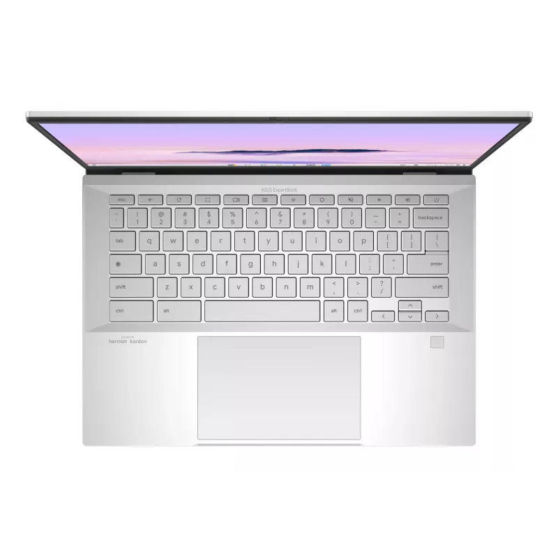 ASUS Chromebook Plus Enterprise CB54 CB5403CMA-QM0916 Intel Core Ultra 7 155U 35.6 cm (14 collu) skārienjutīgs WQXGA 16 GB LPDDR5x-SDRAM 256 GB SSD Wi-Fi 6E (802.11ax) ChromeOS US International Sudraba