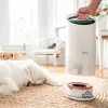 Leitz rezerves oglekļa filtrs TruSens Z-1000 Small Pet filtram, 1 gab.
