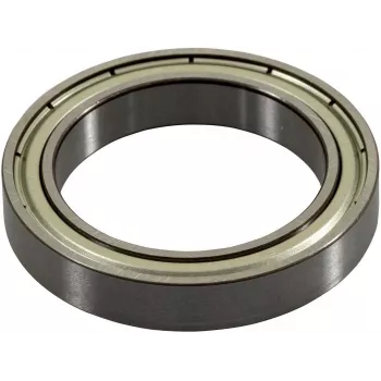 Ricoh G0524618 printera/skenera rezerves daļa/piederums Gultnis 1 gab.