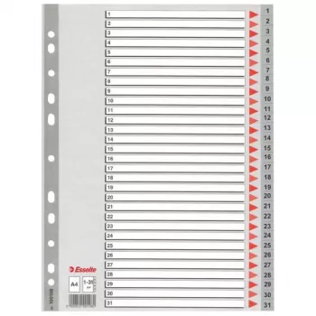 Esselte Index 1-31 PP A4 pelēks, ciparu tab indekss, polipropilēns (PP), A4, 225 mm, 297 mm, 1 gab.