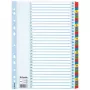 Esselte Index 1-31 Cardboard Mylar tabs A4, Numeric tab index, Carton, Multicolour, A4, 225 mm, 297 mm