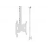 Griestu stiprinājums Multibrackets M Public Small Single balta 1500 14 kg 10-32 collas