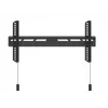 Multibrackets M OLED īpaši plāns fiksēts televizora sienas stiprinājums 50 kg 32–65 collas