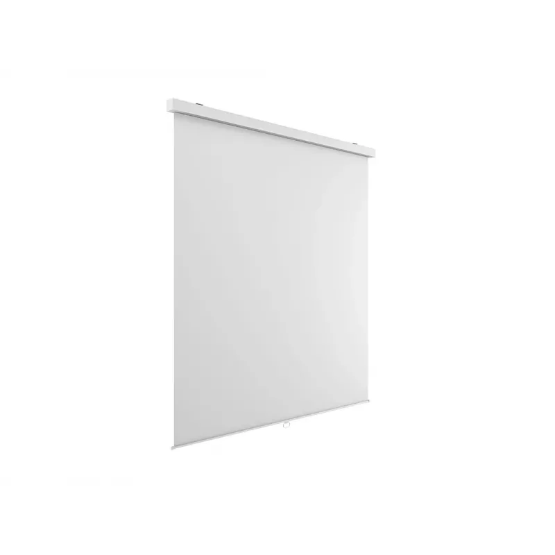 Multibrackets M 1:1 manuālais projekcijas ekrāns 240x240, 135 collu balta Edition