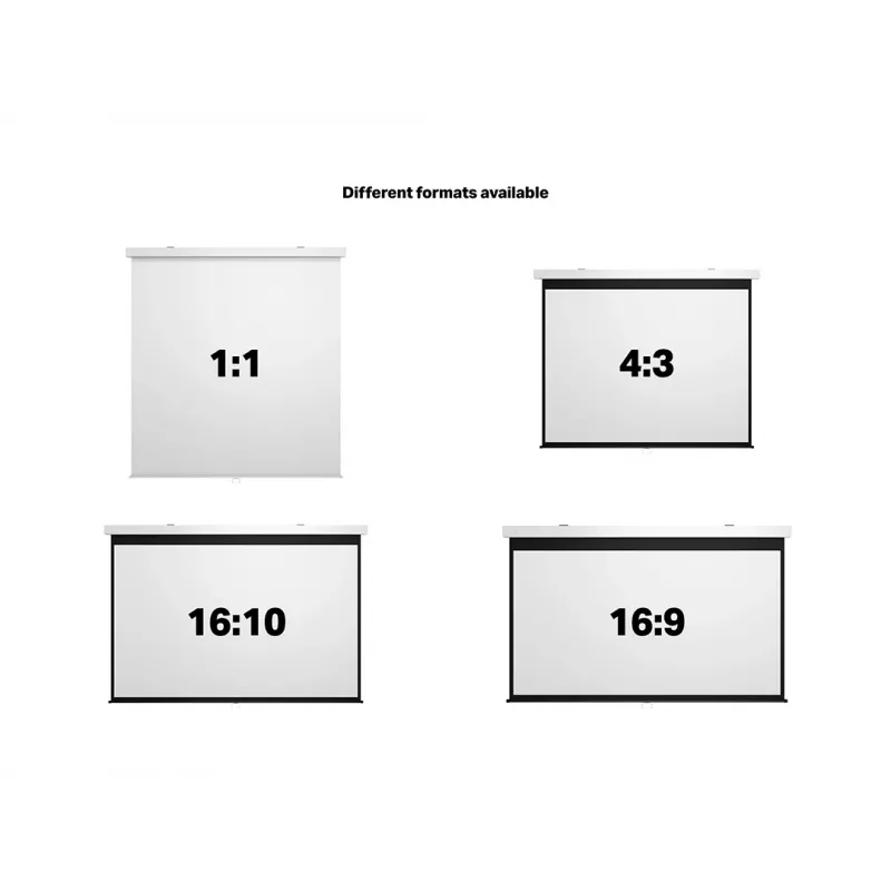 Multibrackets M 1:1 manuālais projekcijas ekrāns 240x240, 135 collu balta Edition