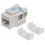 Intellinet Keystone ligzda, Cat6, UTP, Punch-down, balta, plakana, balta, RJ-45, sievišķā, 22/26, Cat6