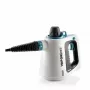 Ariete 4137/00 Portatīvs tvaika tīrītājs 0,25 L 1050 W Balts, Gaiši zils