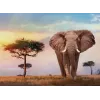 Clementoni African Sunset puzle 500 gab. Dzīvnieki
