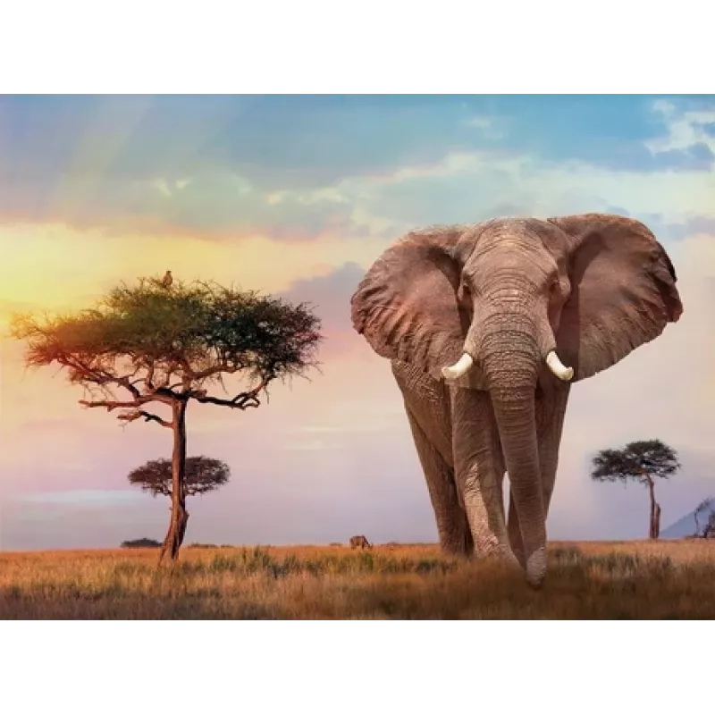 Clementoni African Sunset puzle 500 gab. Dzīvnieki