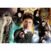 Clementoni Wizarding world Harry Potter Puzle 500 gab. Televīzija/filmas