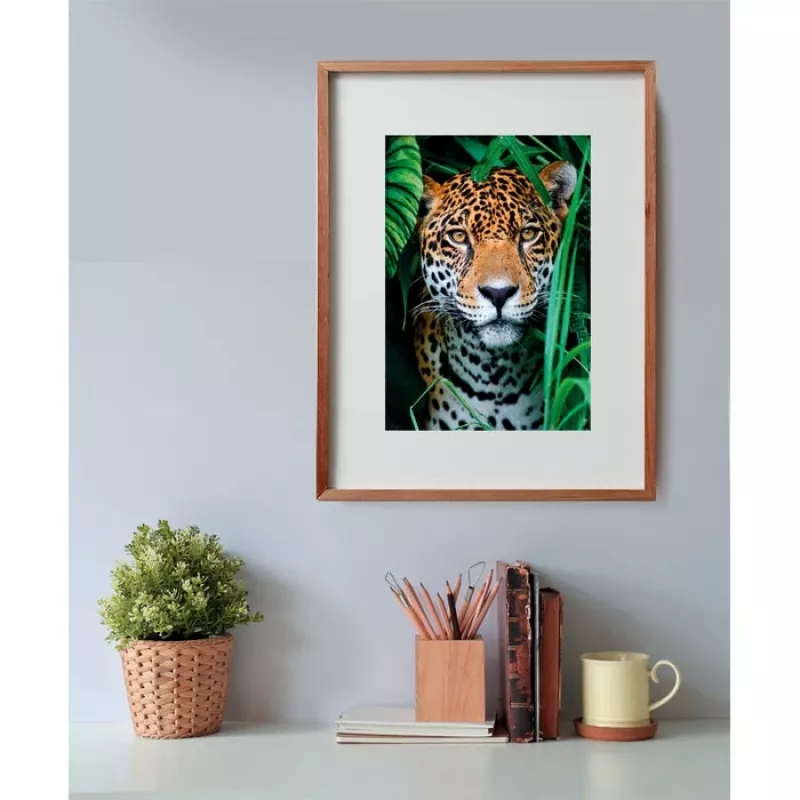 Clementoni High Quality Collection Jaguārs džungļos puzle 500 gab. Dzīvnieki