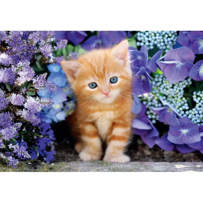 Clementoni High Quality Collection 35585 puzzle Mozaīkpuzle 500 gab. Dzīvnieki