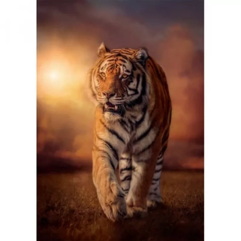 Clementoni Tiger Puzle 1000 gab. Dzīvnieki
