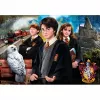 Clementoni Wizarding world Harry Potter puzle 1000 gab. Televīzija/filmas
