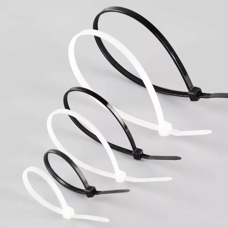Techly Kabeļu saite neilona plāksteris 100X2.5 mm 100 gab. melna ISWT-10025-BK