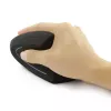 Techly IM 1200-VM-B pele medicīniska labās rokas RF bezvadu optiskā 1600 DPI