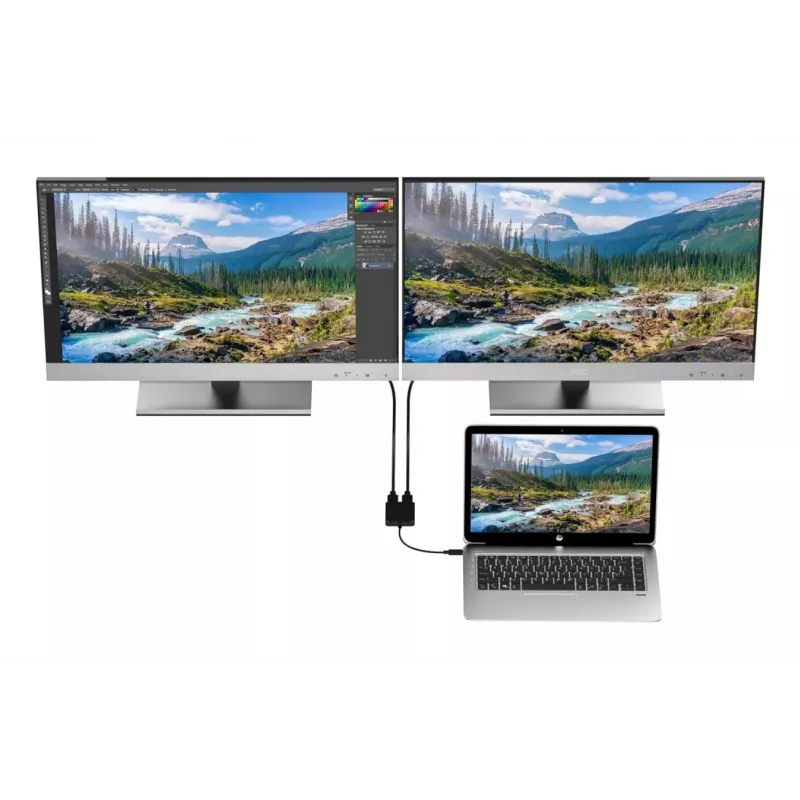 Techly IADAP USBC-HDMI2T4K video kabeļa adapteris 0,15 m USB Type-C 2 x HDMI Melns