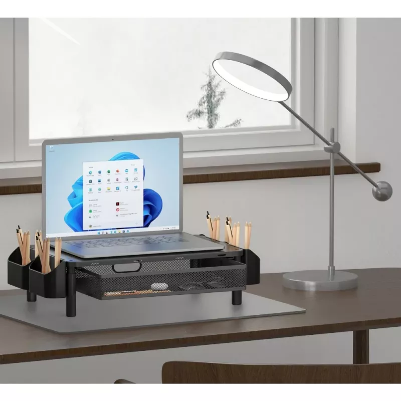 Techly ICA-MS 114 monitora stiprinājums / statīvs Melns