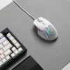 Glorious Gaming Glorious Model IV2 vadu pele - Melna, Labās rokas, Optiskā, USB Type-A, 26000 DPI, Melna