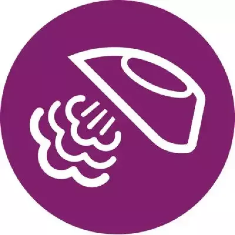 Philips PerfectCare Compact Essential GC6840/20 tvaika ģeneratora gludeklis
