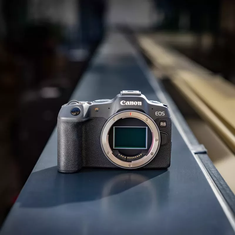 Canon EOS R8 + RF 24-105mm F4-7.1 IS STM MILC 24,2 MP CMOS 6000 x 4000 pikseļi Melna