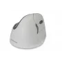BakkerElkhuizen Evoluent 4 Bluetooth balta, labās rokas, vertikāls dizains, lāzera, Bluetooth, 2600 DPI, balta