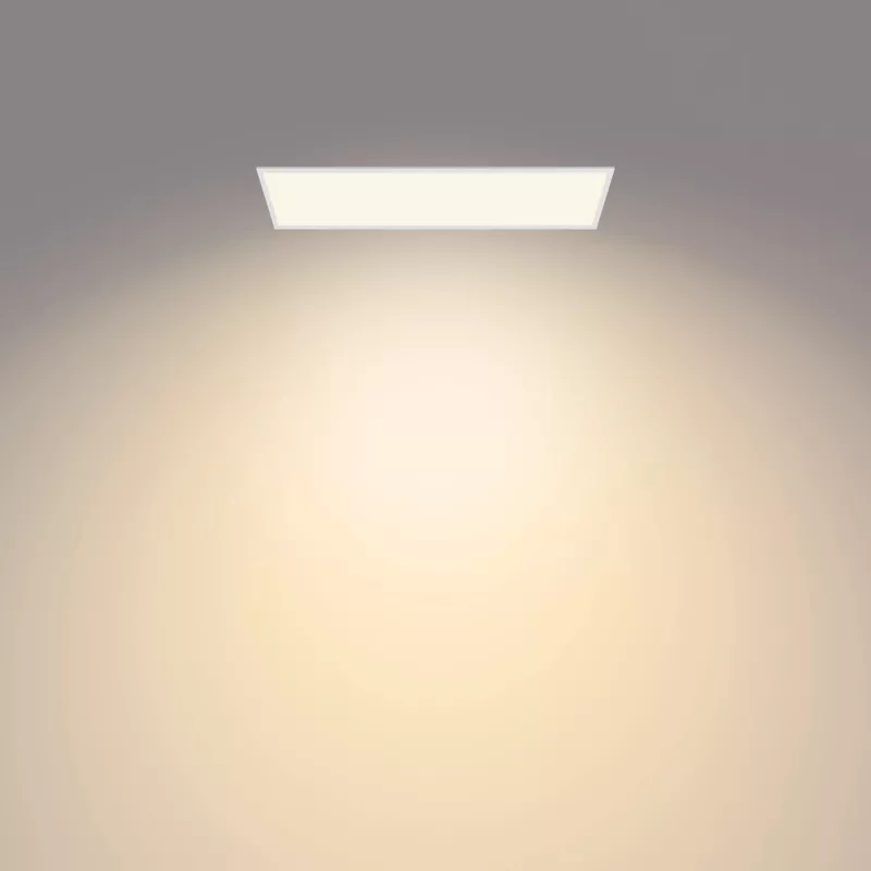 Philips Functional Panel Griestu Gaisma 36 W Taisnstūrveida